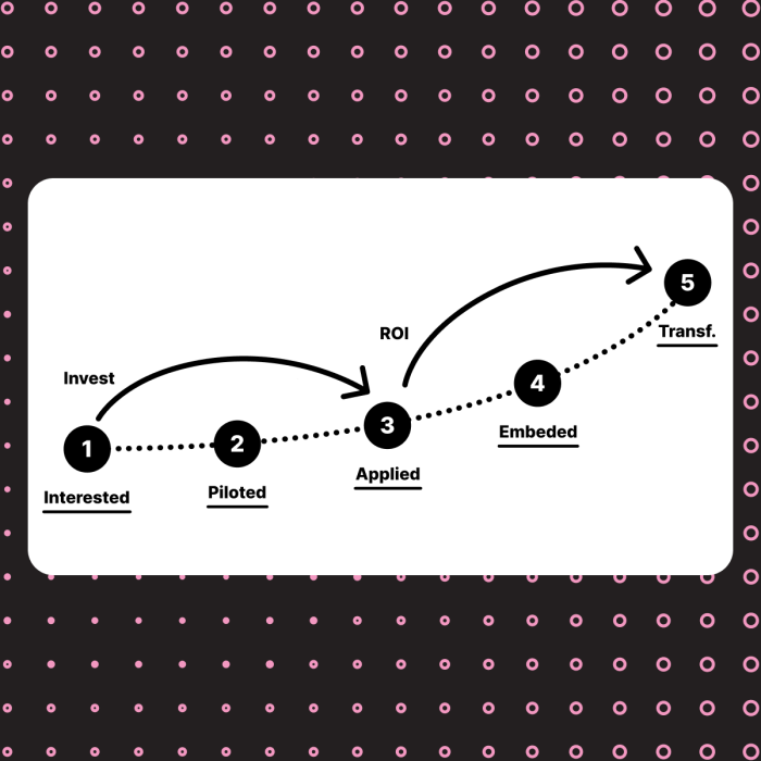 Maturity Model